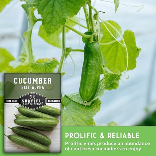 Beit Alpha Cucumber Seeds for Planting - Burpless Variety (1 Pack) - Image 4