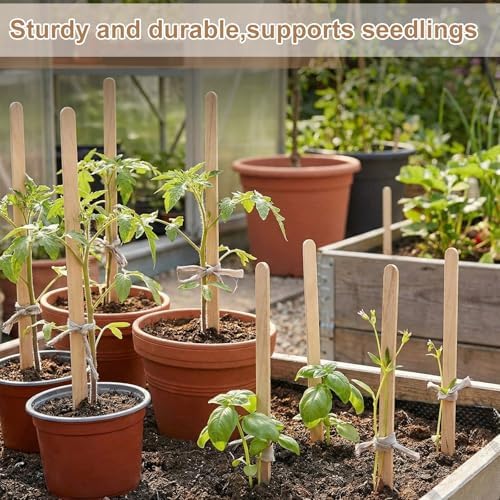 Weysat 200 Pcs 12" Wood Plant Labels for Field or Containers Plant Tags Wood Garden Labels for Seedling Stakes Markers Nursery Seed Tags with Smooth Surface for Pot Herbs Flowers Vegetables (Natural) - Image 4