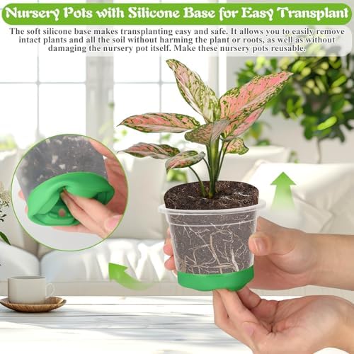 Caffox 55PCS Reusable Seed Starter Kit Includes 30 Packs 3.5" Clear Nursery Pots with Silicone Base, Repotting Mat, Gardening Gloves, Plant Labels and Seedling Tools for Easy Transplant - Image 4
