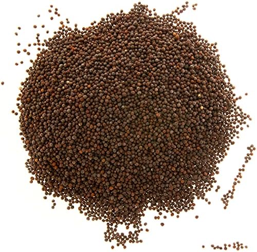 Broccoli Seeds for Sprouting & Microgreens | Calabrese Variety | Non GMO & Heirloom Seeds | Bulk 1 LB Resealable Bag | Rainbow Heirloom Seed Co. - Image 2