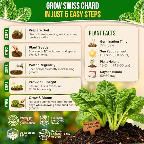 Swiss Chard Fordhook Seeds Pack 3.75 g - Over 200 Non-GMO Heirloom Swiss Chard Seeds for Planting Greens in Individual Seed Packet, Greens Seeds for Planting Indoor & Outdoor Garden - Image 6