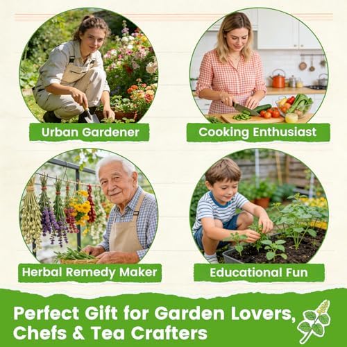 Herb Seeds 15-Pack – 4,500+ Heirloom Seeds for Planting – Indoor & Outdoor Herb Garden Kit with Basil, Cilantro, Rosemary, Thyme, Dill, Sage – Medicinal & Culinary Herb Seeds Variety Pack - Image 4