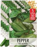 Seed Needs TAM Jalapeño Hot Pepper Seeds to Plant Vegetables - 5 Packs by SeedNeeds
