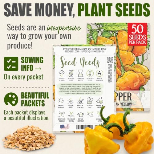 Seed Needs Jamaican Yellow Hot Pepper Seeds to Plant Vegetables - 2 Packs - Image 3