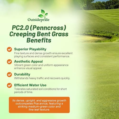 Outsidepride PC2.0 (Penncross) Creeping Bent Grass Seed – 5 lbs. Premium Golf Course Grade, Dense, Wear-Resistant Turf Grass Seeds for Tees, Putting Greens & Fairways, Ideal for High Traffic Areas - Image 3