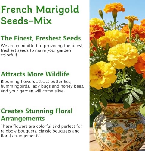 LUOJIBIE French Marigold Seeds for Planting Outdoors, Giant Marigold Flowers Seeds Bulk for 2026, Over 8,500+ Seeds Prolific Blooms, Ideal for Vibrant Pollinator Gardens - Image 4