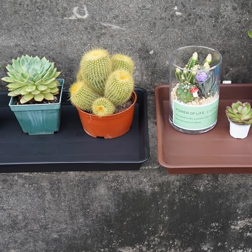 VUWEZ Plant Growing Trays 4 Pack, Plant Tray, 14.5"x11", Heavy Sturdy Plastic Plants Saucer, Seedling Starter Trays, Seed Starter Growing Tray (Black) - Image 7