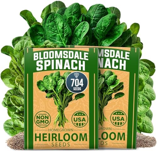 HOME GROWN Bloomsdale Spinach Seeds, 704+ Seeds, Spinacia oleracea by HOMEGROWN