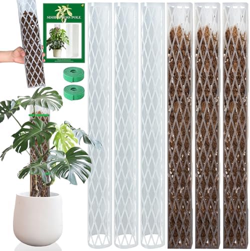 Plastic Moss Pole for Monstera and Climbing Plants (6 PACK-16Inch) by Growasplant%E2%80%94Botanicalhometextilesdesignedfromrealspecies