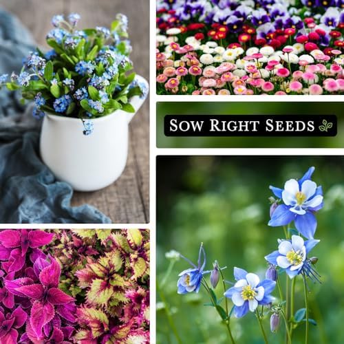 Sow Right Seeds - Part Shade Flower Seed Collection for Planting Garden - Image 3