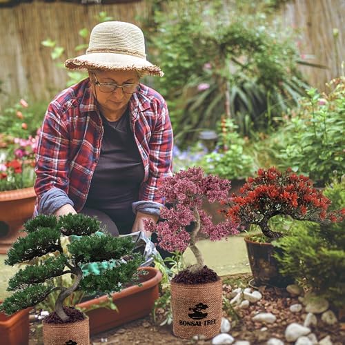 Bonsai Garden Starter Kit, 4 Seeds Growing into Sakura, Ginkgo, Black Pine, Red Flame, Including Complete Gardening Tools & A Planter Box with Cover for Men Women Beginners - Image 5