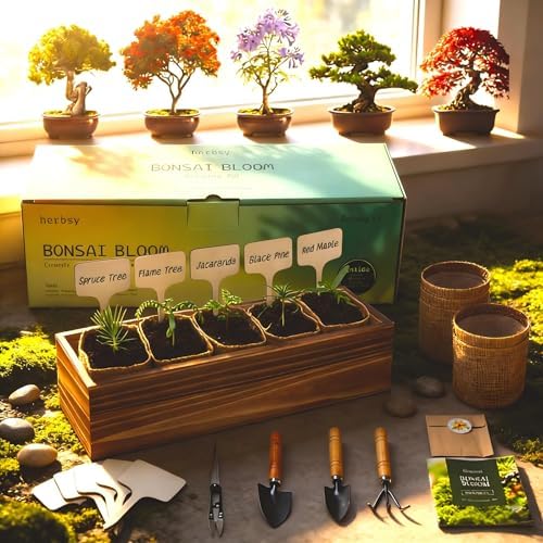 5 Pack Bonsai Tree Kit with Complete Tools, 5X Unique Seeds Bonzai Tree Live Kits, Complete Indoor Bonsai Starter Kit with Wooden Box, Perfect Christmas Garden Gift for Mom, Men, Women, Plant Lover - Image 3