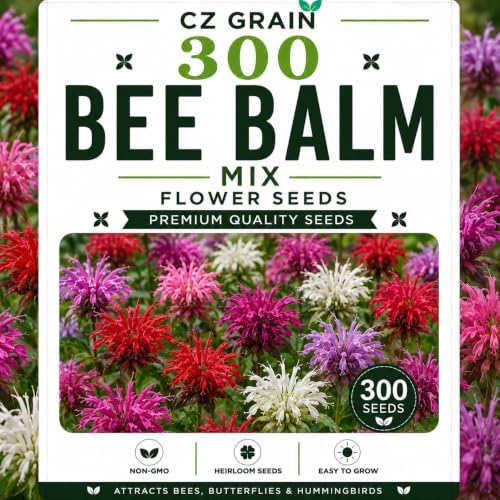 Garden Seeds for Planting, 300 Bee Balm by CZGrain