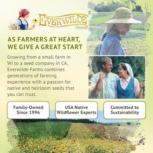 Everwilde Wild Bergamot Seeds 2,000 Count – Native Perennial Wildflower – Attracts Bees, Butterflies & Hummingbirds – Drought Tolerant & Deer Resistant – Pollinator Gardens – XL Mylar Jumbo Packet - Image 7