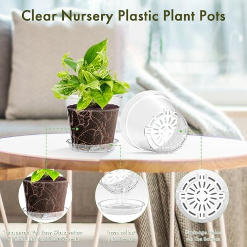 WSMKSZ 3 Inch Clear Nursery Pots, 30 Pack Highly Transparent Plastic Seedling Starter Planters with Drainage Holes and Trays for Flowers, Small Plant Pots for Indoor Plants - Image 3