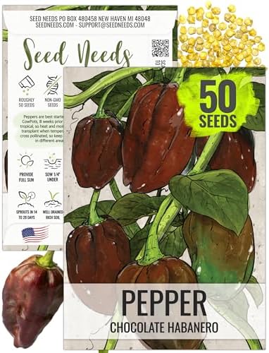 Seed Needs Chocolate Habanero Pepper Seeds to Plant Vegetables - 1 Pack by SeedNeeds