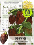 Seed Needs Chocolate Habanero Pepper Seeds to Plant Vegetables - 1 Pack by SeedNeeds