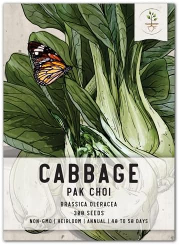 Seed Needs Pak Choy Cabbage Seeds to Plant Heirloom & Non-GMO 1 Pack by SeedNeeds