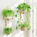 Plant Wall Hanger Holder Set of 2 for Indoor Outdoor, Gold by iDavosicly