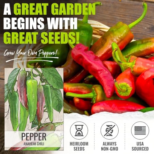Seed Needs Anaheim Hot Pepper Seeds to Plant Vegetables - 20 Packs - Image 2
