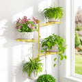Wall Plant Holder, Rotating Floating Window Shelf, 3-Tier Gold by iDavosicly