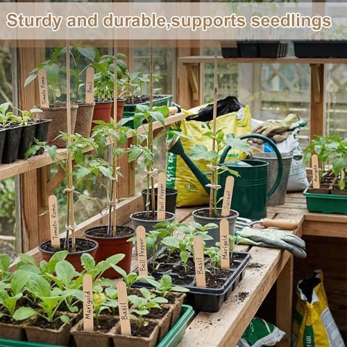 Weysat 100 Pcs 12" Wood Plant Labels for Field or Containers Plant Tags Wood Garden Labels for Seedling Stakes Markers Nursery Seed Tags with Smooth Surface for Pot Herbs Flowers Vegetables (Natural) - Image 4
