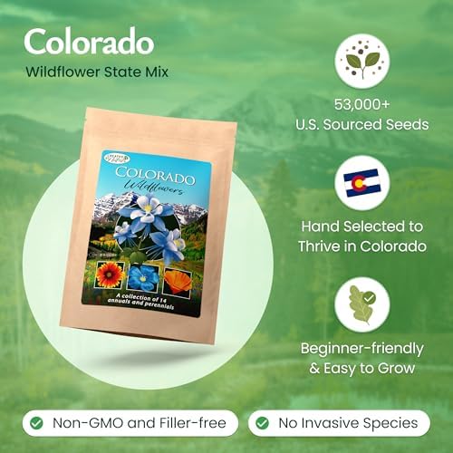 Colorado Wildflower Seed Mix – Over 53,000 Flower Seeds, Covers 300 Sq Ft - Image 2