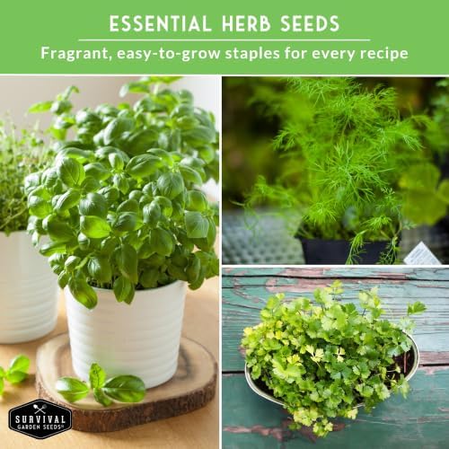 Indoor Herb Seeds Variety Pack - 10 Herbs for Planting - Image 6