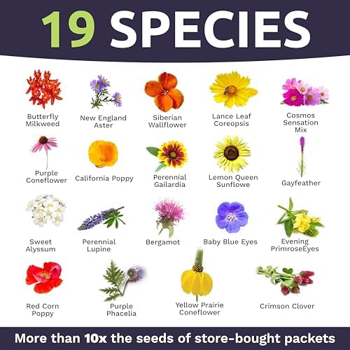 Bee Friendly Wildflower Seed Mix - Bulk 1 Ounce Packet - Over 7,500 Open Pollinated Seeds - Save The Bees! - Image 4