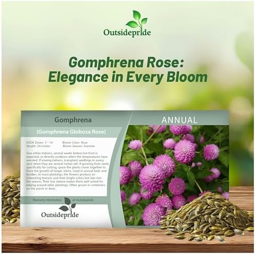 Outsidepride Rose Gomphrena Seeds - 2000 Pcs Annual, Heat & Drought Tolerant, Pollinator Friendly Globe Amaranth Seeds for Planting w/Vibrant Round Blooms for Beds, Borders, and Arrangements - Image 5