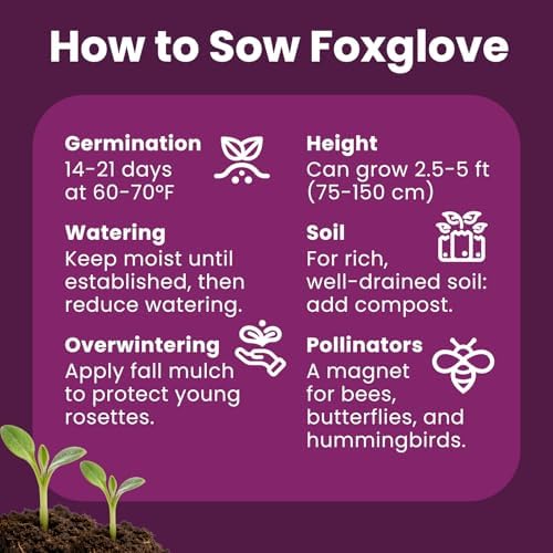 Foxglove Seeds Perennial – Mixed Colors, 200,000+ Seeds Bulk Pack for Easy-to-Grow Home Gardening, Tall Spire Blooms for Garden Borders, Attract Hummingbirds & Bees - Image 7