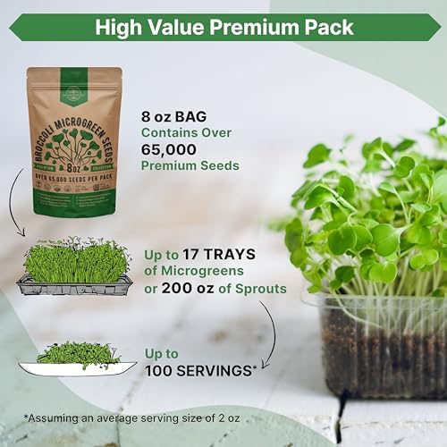 Organo Republic Broccoli Sprouting & Microgreens Seeds - 65,000 Non-GMO Heirloom Seeds, Sprouts in Bulk 8oz Resealable Bag for Planting & Growing in Soil, Coconut Coir, Aeroponic & Hydroponic System - Image 3
