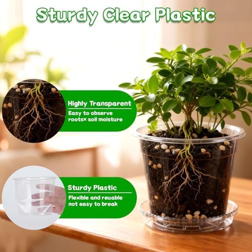 3/4/5/6/7 Inch Clear Nursery Pots with Drainage Holes, Saucers, Plant Tags - Image 5
