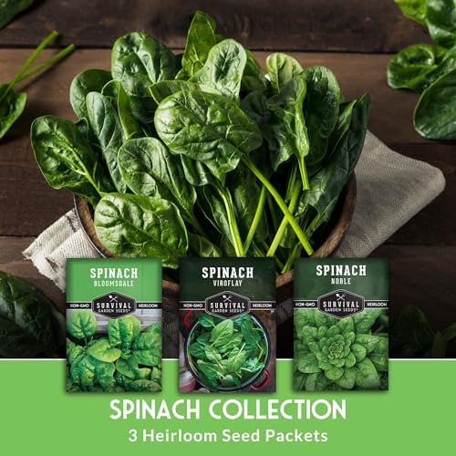 Spinach Seeds Variety Pack for Planting - Image 3