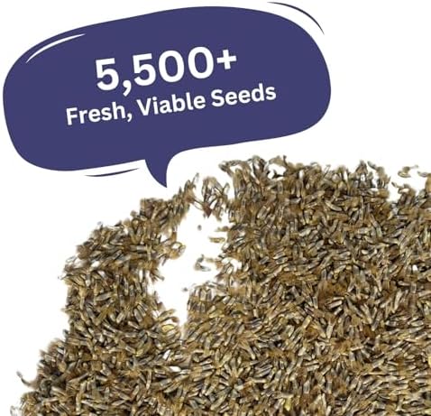 Bachelor Button Seeds – Blue Cornflower – 5,500+ Seeds – 1 oz Bulk Extra Large Resealable Packet – Open-Pollinated Centaurea cyanus Wildflower Seeds - Image 4