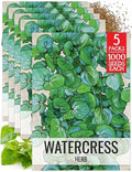 Seed Needs Watercress Seeds to Plant an Herb Garden - 5 Packs by SeedNeeds