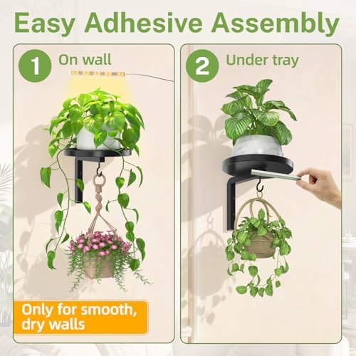 Plant Wall Hanger with Grow Lights Set of 4 for Indoor, Black - Image 6