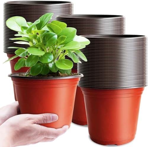Baaxxango 100 Pcs Plant Nursery Pots,6 Inch Thicker Plastic Seedling Pots with Holes,Seed Starting Pot Flower Plant Container for Succulents,Seedlings,Cuttings,Transplanting by Baaxxango