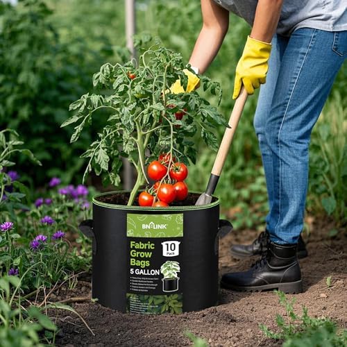 BN-LINK 10-Pack 5 Gallon Grow Bags, Heavy Duty Aeration Fabric Pots with Handles, Thickened Nonwoven Plant Bags for Vegetables, Flowers, Fruits - Image 2