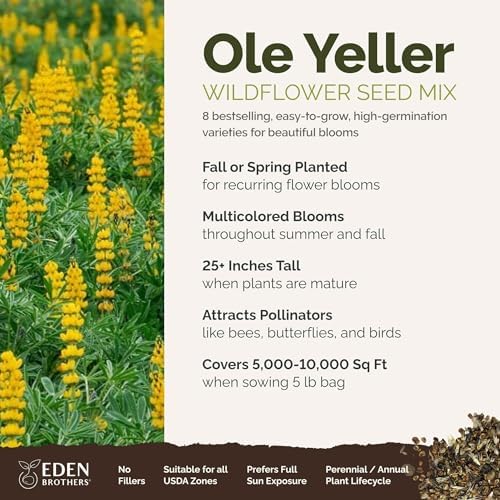 Eden Brothers Ole Yeller Wildflower Mixed Seeds for Planting, 5 lb, 2,400,000+ Seeds with African Marigold, Sunflower | Attracts Pollinators, Plant in Spring or Fall, Zones 3, 4, 5, 6, 7, 8, 9, 10 - Image 2