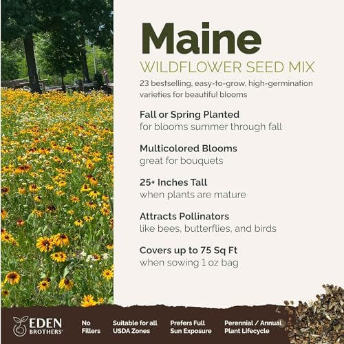 Eden Brothers Maine Wildflower Mixed Seeds for Planting, 1 oz - Image 2