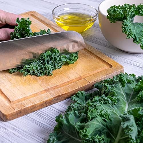 Organic Kale Seeds (Vates Blue Scotch Curled) - Approx 500 Seeds - USDA Organic, Non-GMO, Open Pollinated, Heirloom, USA Origin (Pack of 2) - Image 6