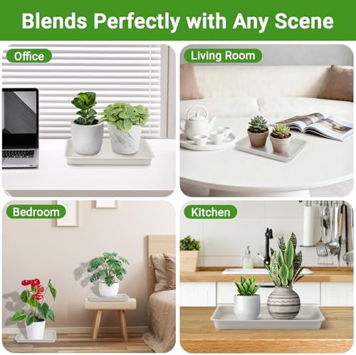 11 Inch Plant Ttray, 3 Packs Durable Plastic Humidity Trays for Indoor Plants, Plant Saucers for Outdoors, Drip Trays for Potted Plants(Beige) - Image 6