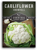 White Cauliflower Seeds for Planting, Snowball Variety - 1 Pack by SurvivalGardenSeeds