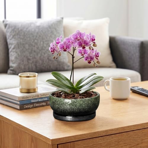 Bonsai Tree Pots, 8 Inch Ceramic Succulent Planter, Speckle Green - Image 5