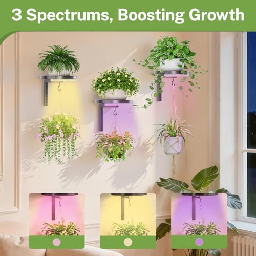 Plant Wall Hanger with Grow Lights Set of 3 for Indoor, Black - Image 5
