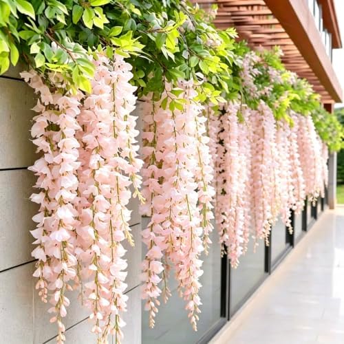 Climbing Weeping Jasmine Flower Seeds for Planting, 350+pcs Perennial Fragrant Climber Jasmine Seeds Plants, Heirloom Non-GMO Hummingbirds Flowers for Home Garden Outdoors - Image 2