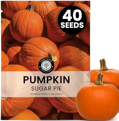 Sugar Pie Pumpkin Seeds – 40 Premium Seeds for Planting – Sweet, Small Baking Pumpkin Variety for the 2026 Season – 6 Gram Pouch by FamilySown