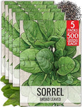 Seed Needs Large Leaf Sorrel Seeds to Plant an Herb Garden - 5 Packs by SeedNeeds