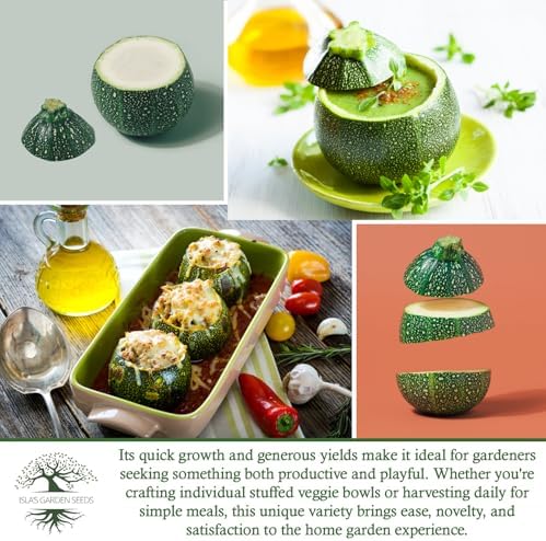 Round Zucchini Seeds (Cucurbita Pepo) – 40+ Non-GMO Heirloom Seeds for Planting, Also Known as Eight Ball Zucchini, Compact Bush Variety for Stuffing & Roasting, by Isla’s Garden Seeds, Gift Idea - Image 6